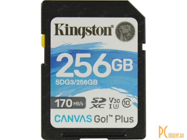 Карта памяти карта памяти 256Gb  Kingston Canvas Go! Plus Class10 UHS-I + adapter SDG3/256GB