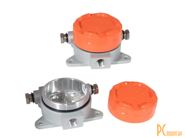 фото BP18-1A orange/grey Корпус алюминевый для полевого датчика давления, IP68 BP18-1A orange/grey Корпус алюминевый для полевого датчика давления, IP68