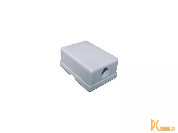 фото Розетка настенная телефонная TWT 1 порт 6P4C, винтовая арт. TWT-SS1-12-WH Розетка настенная телефонная TWT 1 порт 6P4C, винтовая арт. TWT-SS1-12-WH