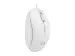 Мышь Natec Sparrow NMY-1188 White